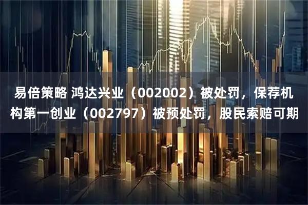 易倍策略 鸿达兴业（002002）被处罚，保荐机构第一创业（002797）被预处罚，股民索赔可期